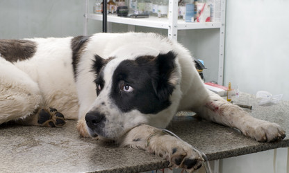 Similar image 2610870