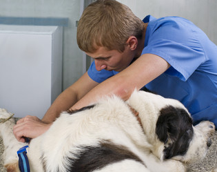 Similar image 2610874