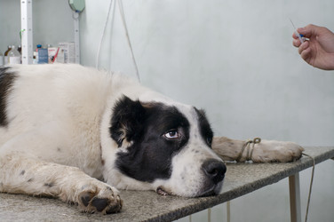 Similar image 2610875