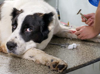 Similar image 2610876