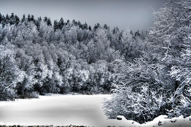 Similar image 2621055