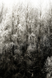 Similar image 2621057