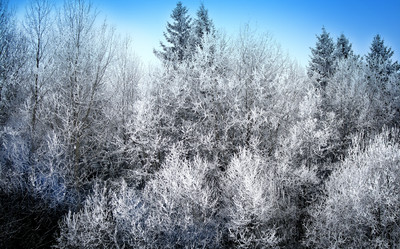 Similar image 2621059