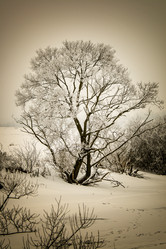 Similar image 2621060