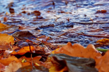 Similar image 2621111