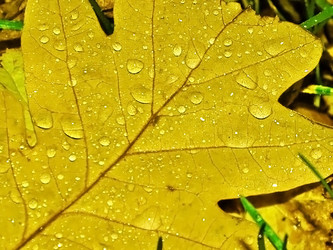 Similar image 2621113