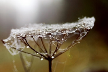 Similar image 2621115