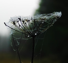 Similar image 2621116