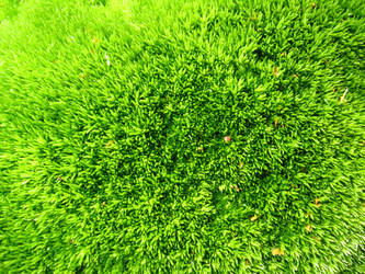 Similar image 2621436