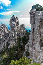 Similar image 2621549