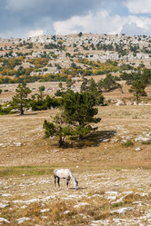 Similar image 2621564