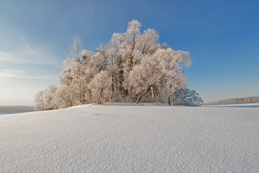 Similar image 2621875