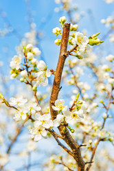 Similar image 2621962