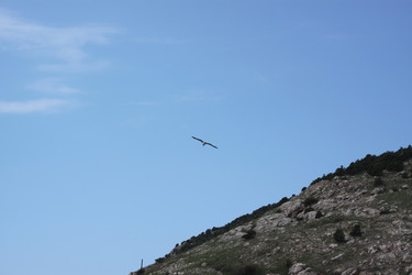 Similar image 2621980