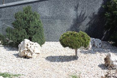 Similar image 2621985