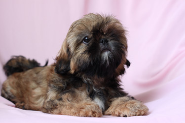 Similar image 2622047