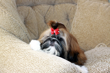 Similar image 2622059