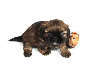 Similar image 2622091