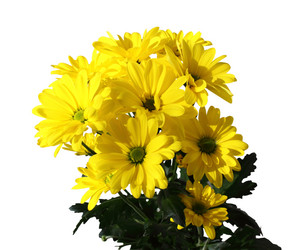 Similar image 2622094