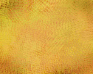 Similar image 2622837