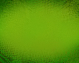 Similar image 2622841