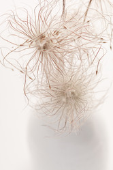 Similar image 2623578