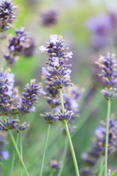 Similar image 2623583