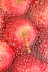 Similar image 2623642