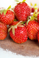 Similar image 2623657