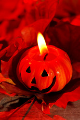 Similar image 2623665