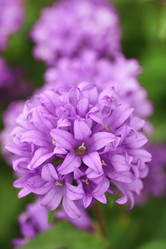 Similar image 2623705