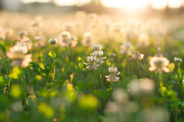 Similar image 2623712