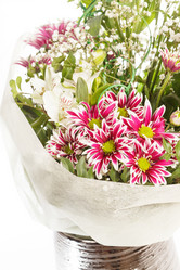 Similar image 2623718