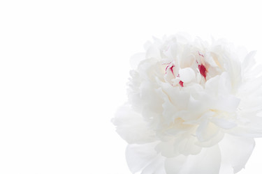 Similar image 2623724