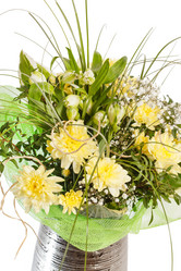 Similar image 2623734