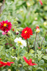 Similar image 2623766