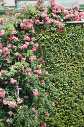 Similar image 2623768