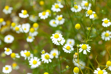 Similar image 2623771