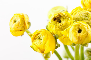 Similar image 2623776