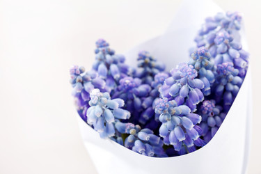 Similar image 2623777