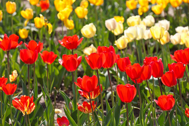 Similar image 2623782