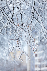 Similar image 2623784