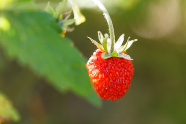 Similar image 2623828