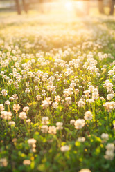 Similar image 2623839