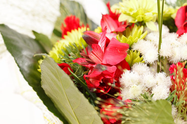 Similar image 2623841