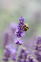 Similar image 2623847