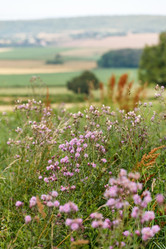 Similar image 2623854