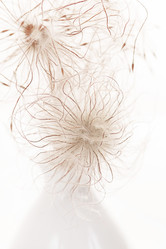 Similar image 2623891