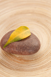 Similar image 2623893