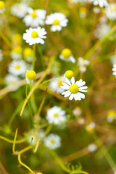 Similar image 2623901